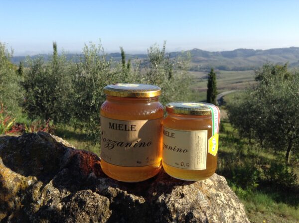 Agriturismo Bozzanino - Casciana Terme Lari - Toscana - prodotti - olio - immagine