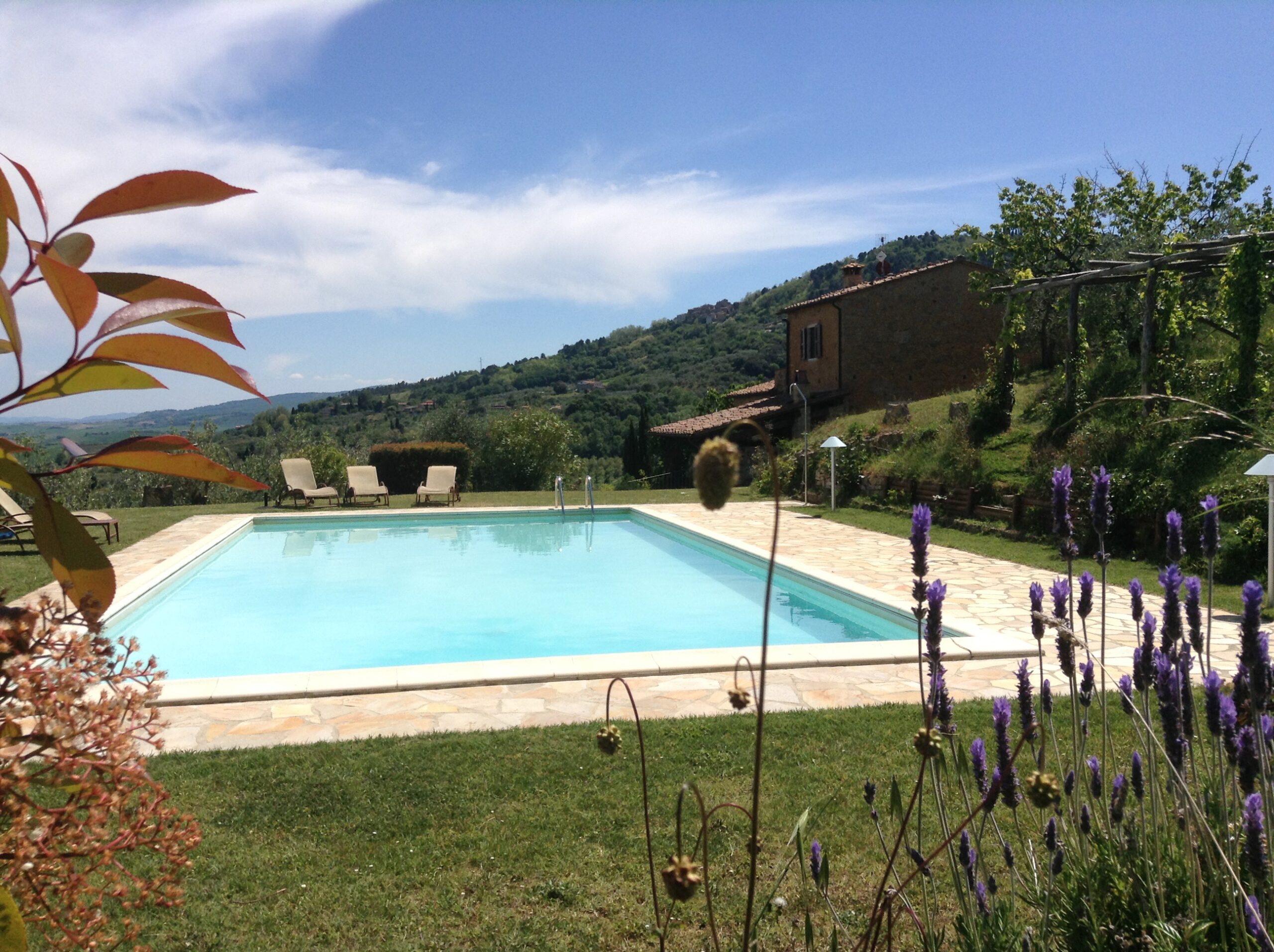 Agriturismo Bozzanino - Casciana Terme Lari - Toscana - la piscina - immagine